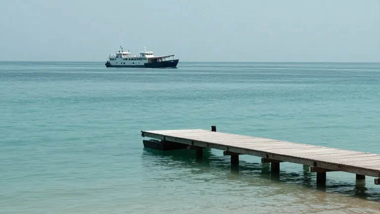 Illustration for: Royal Bahamas Police Investigate Death of British Woman in Bimini